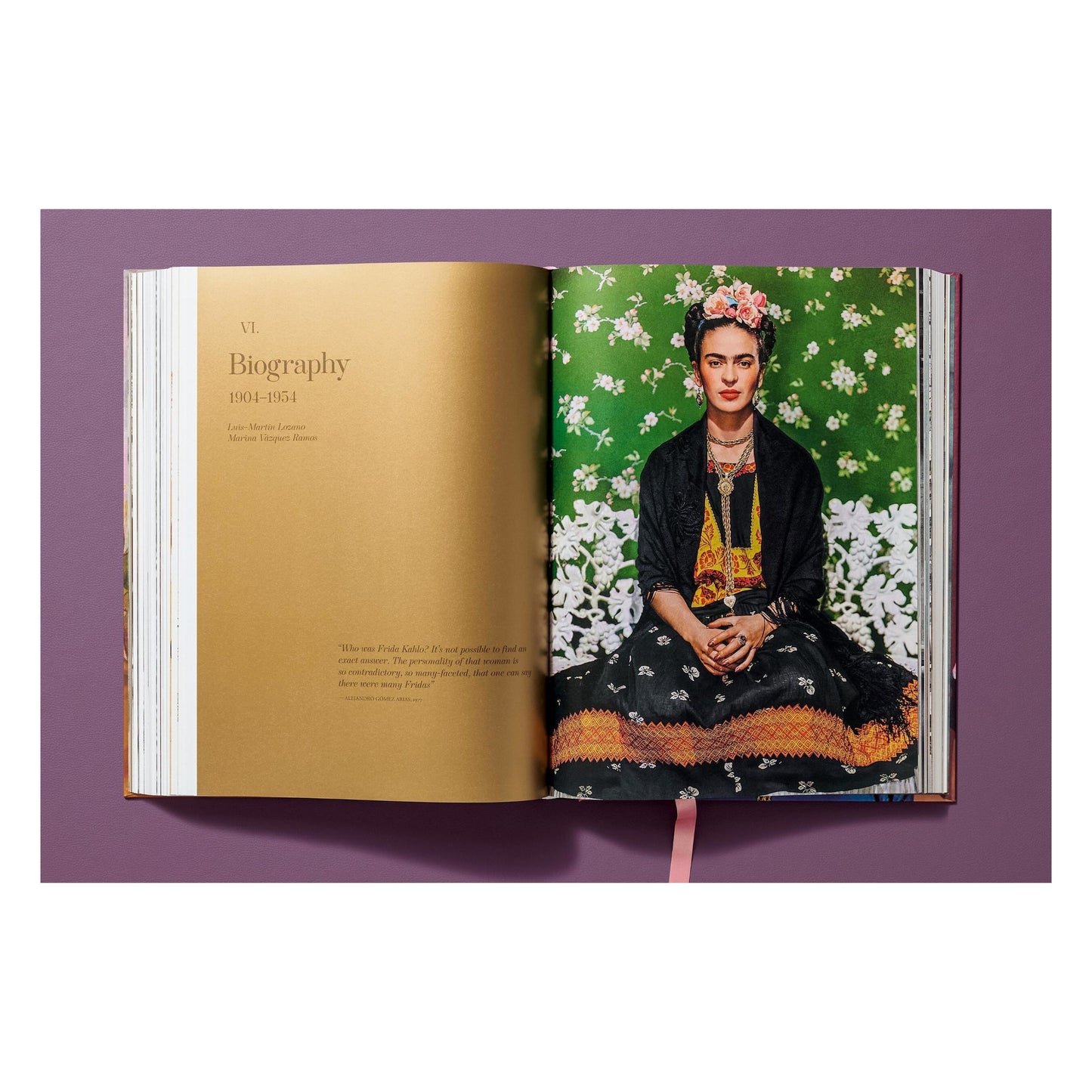 Frida Kahlo. Sämtliche Gemälde (German)