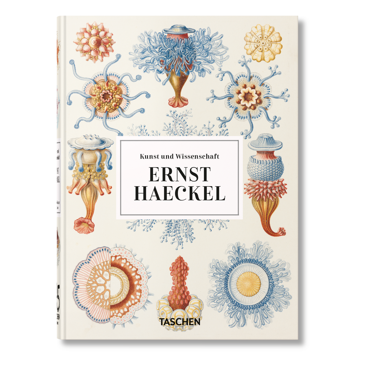 Ernst Haeckel. Kunst und Wissenschaft. 45th Ed. (German)