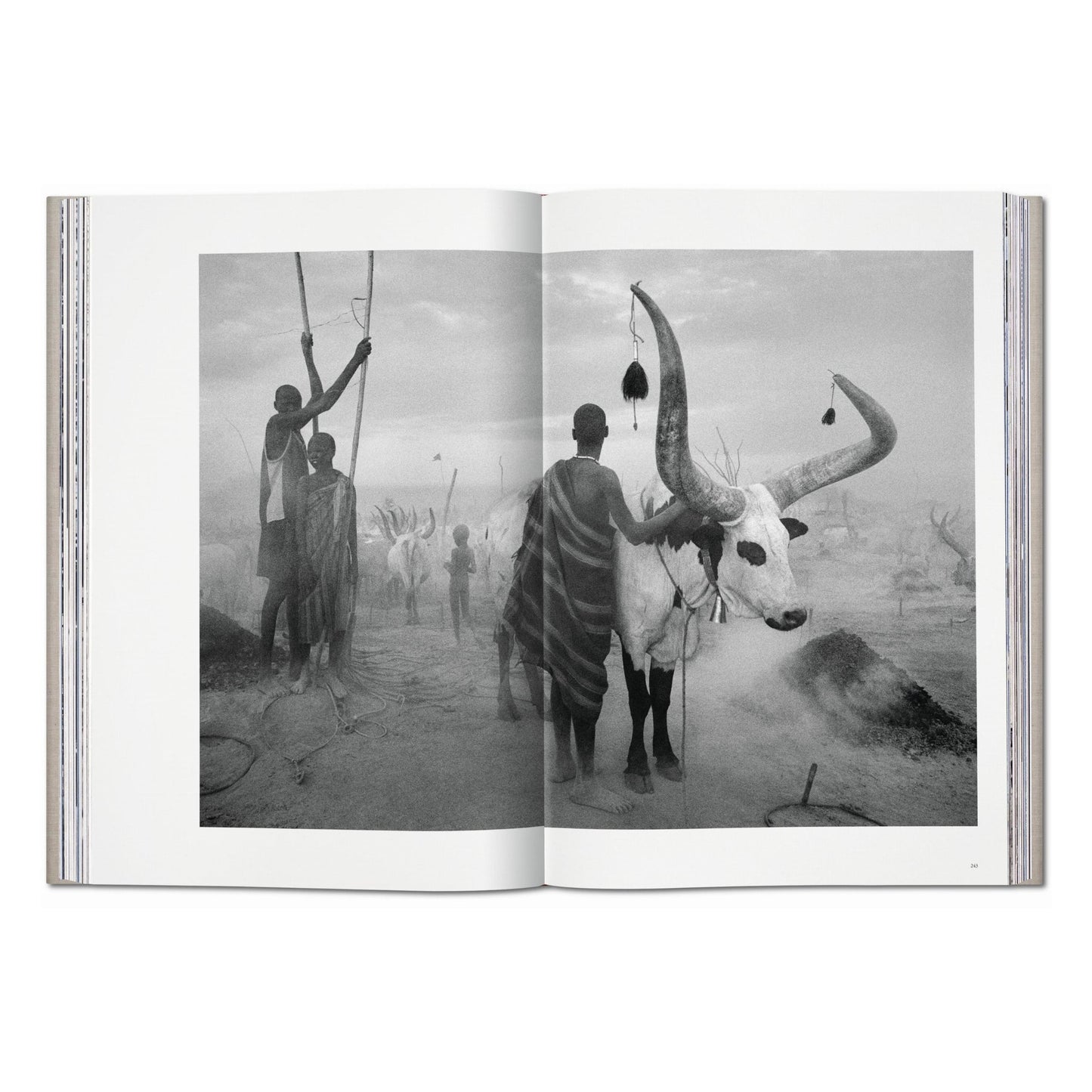 Sebastião Salgado. Genesis (English) (AP)