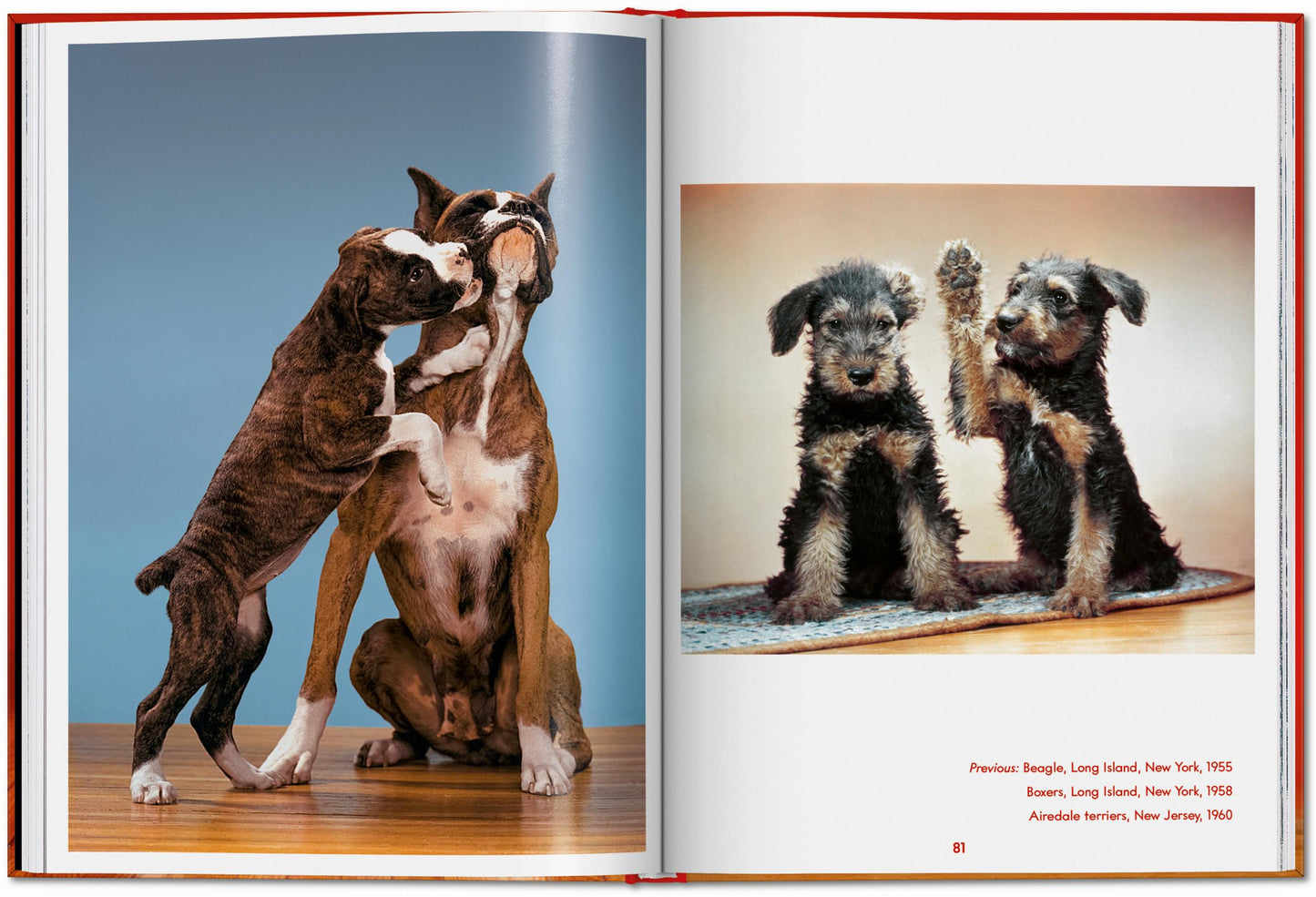 Walter Chandoha. Dogs. Photographs 1941–1991 (English)
