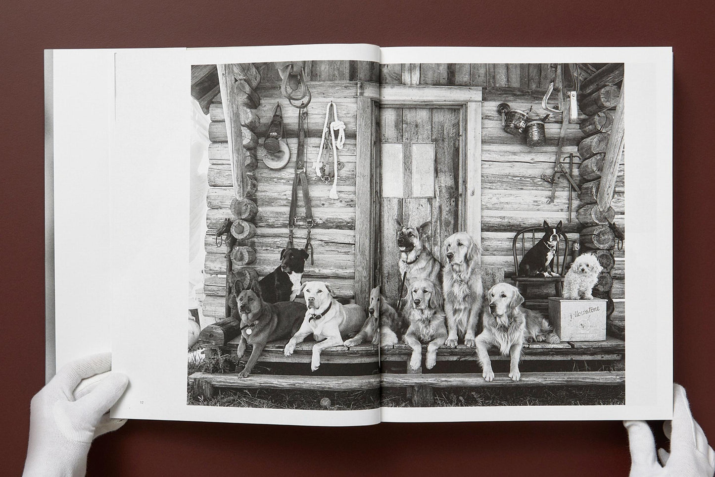 Bruce Weber. The Golden Retriever Photographic Society. Art Edition No. 1–100 ‘Little Bear Ranch, Montana, 1996’ (German, French, English) (AP)