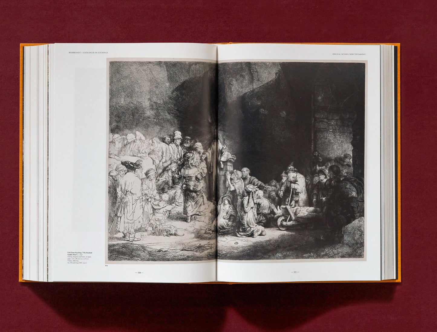 Rembrandt. Alle tekeningen en etsen (Dutch)